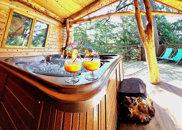 Domaine De La Font Vineuse & Spa